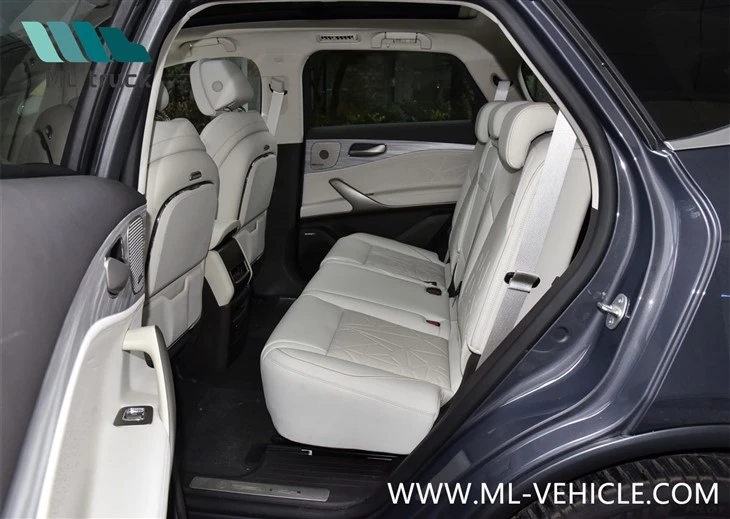 BYD Denza N8