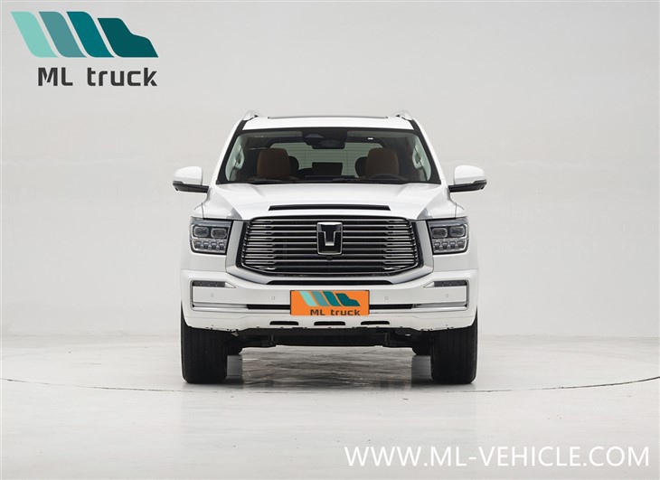 2025 Tank 500 Hi4-Z SUV